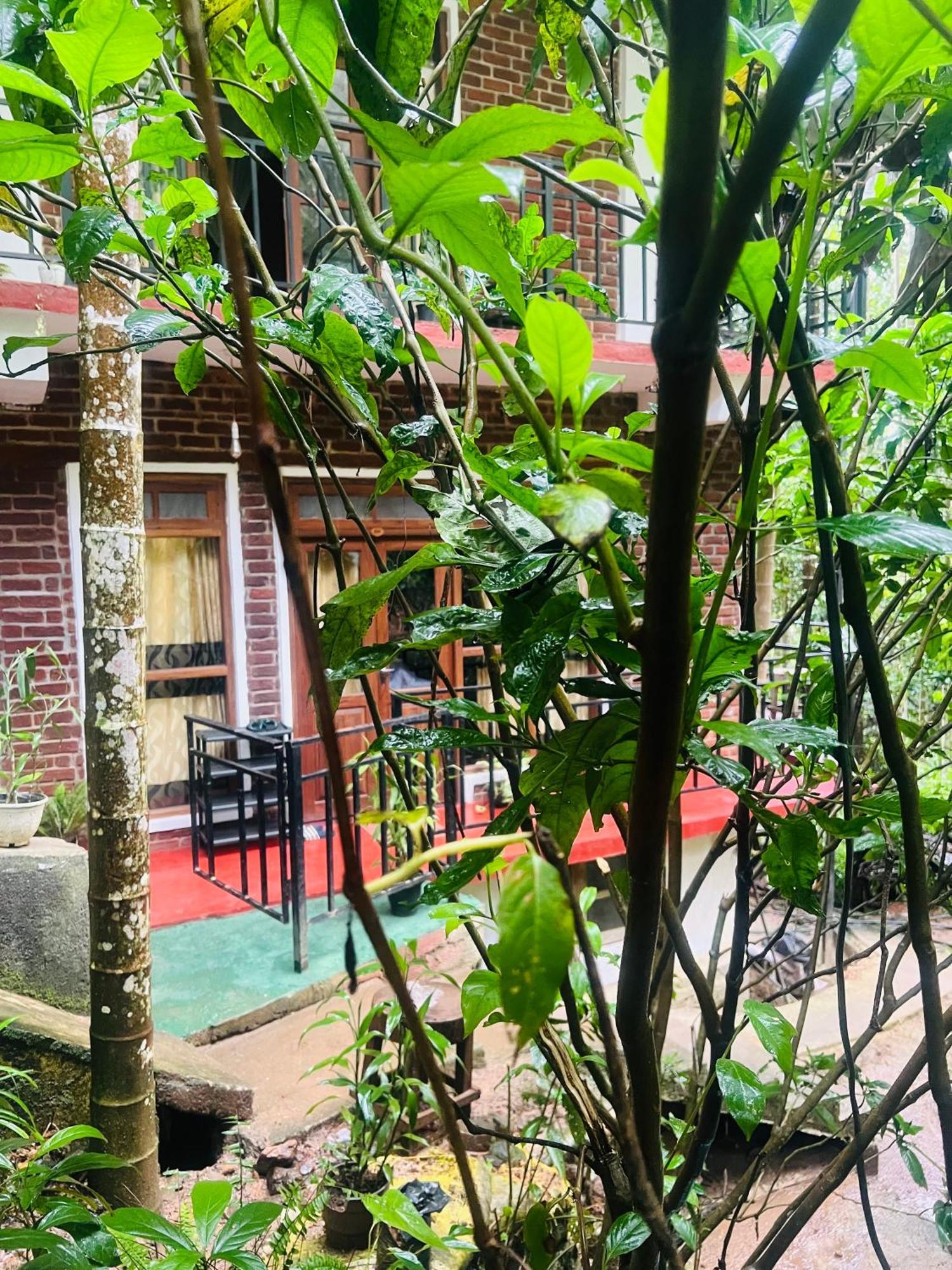 Mum Jungle Inn Ella Exterior photo