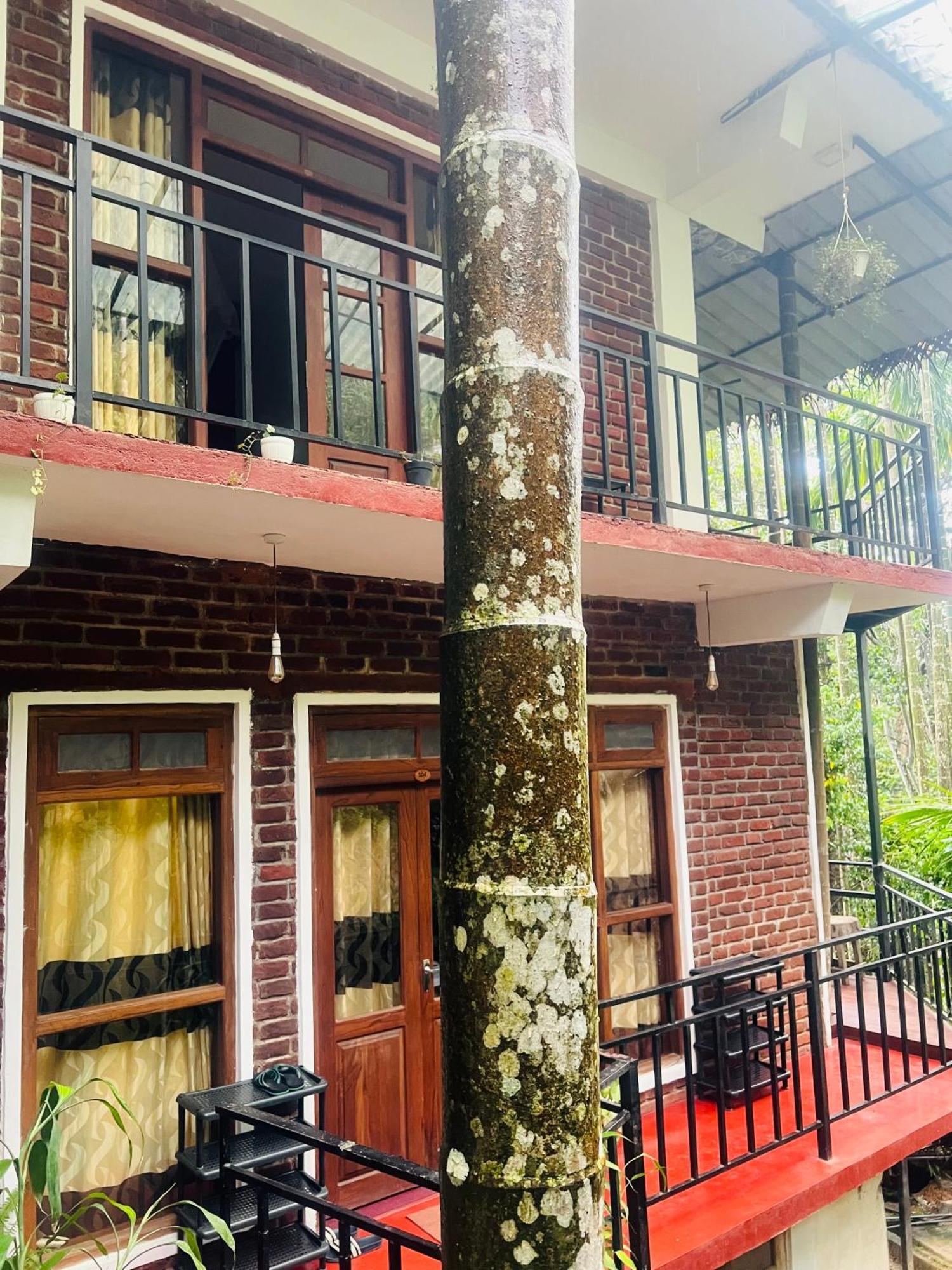 Mum Jungle Inn Ella Exterior photo